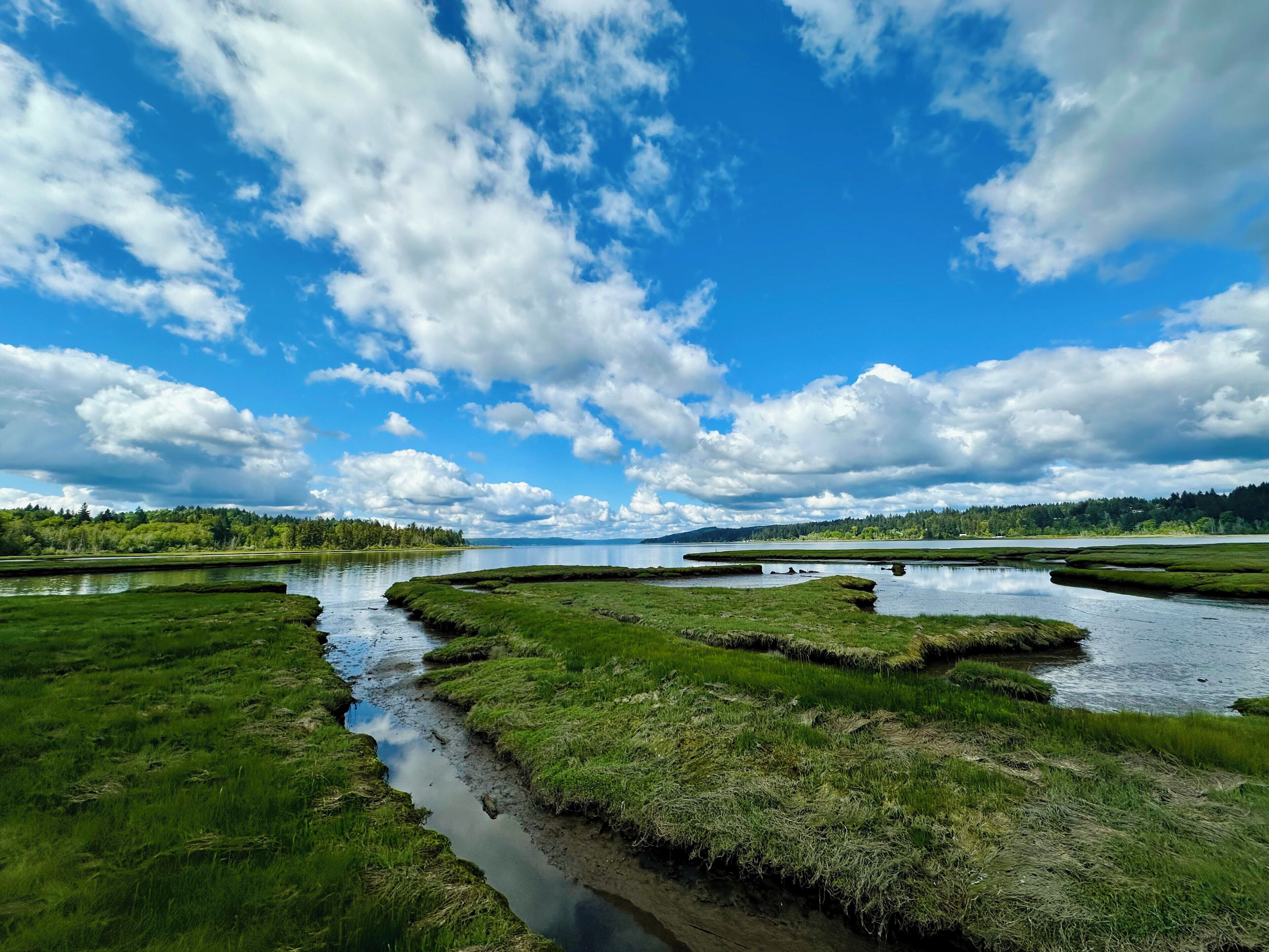 A natural landscape with a river meandering through green marshy areas, surrounded by dense forests under a partly cloudy sky.