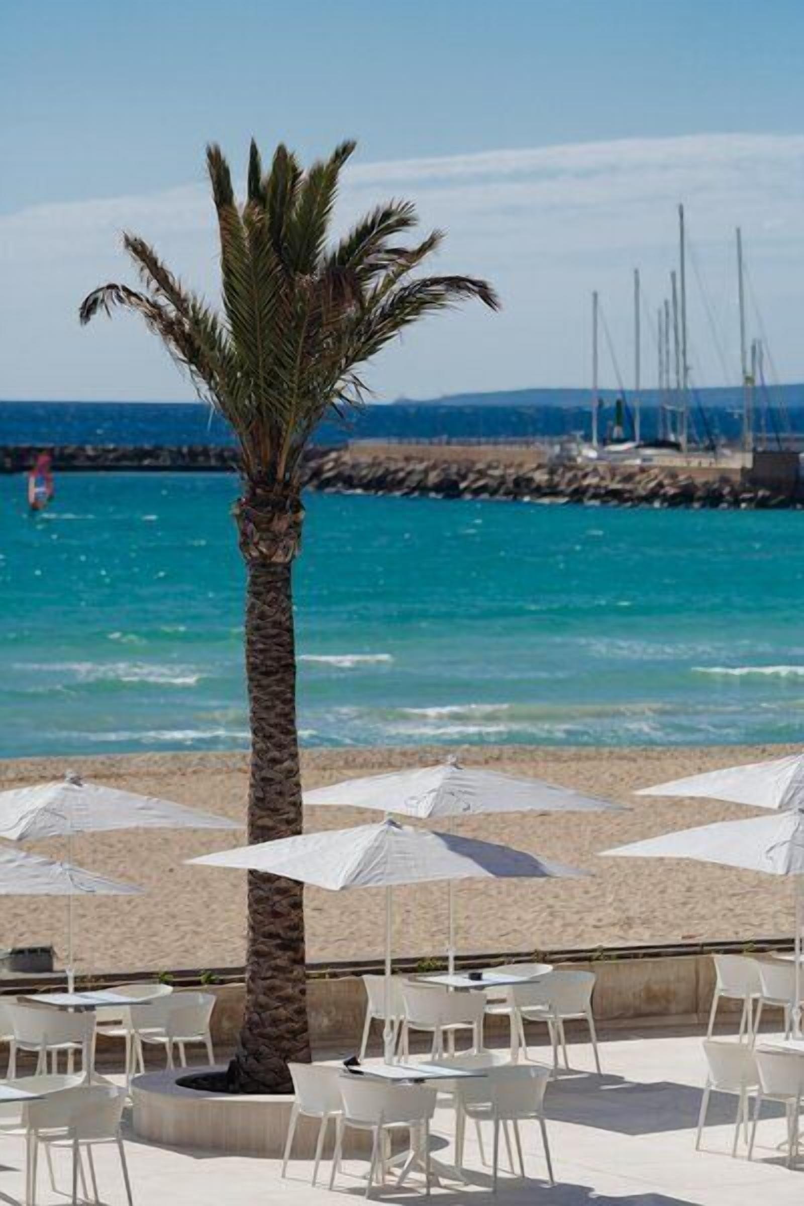 Arena blanca