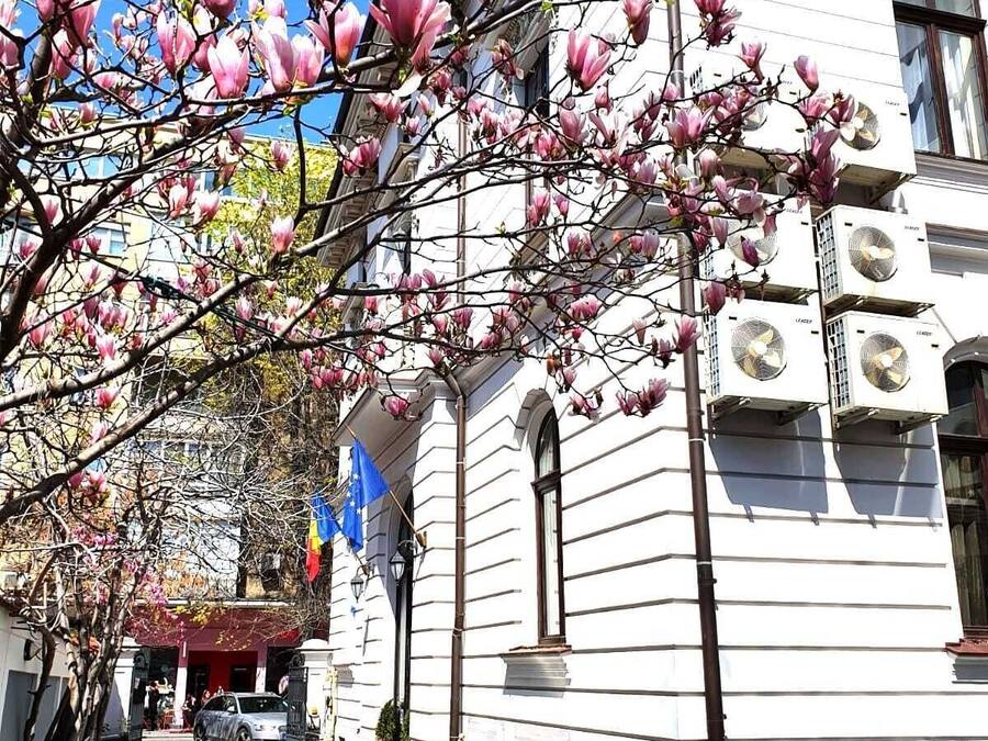 Fachada del alojamiento