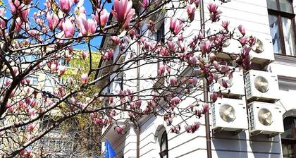 Atrium Hotel Ateneu City Center