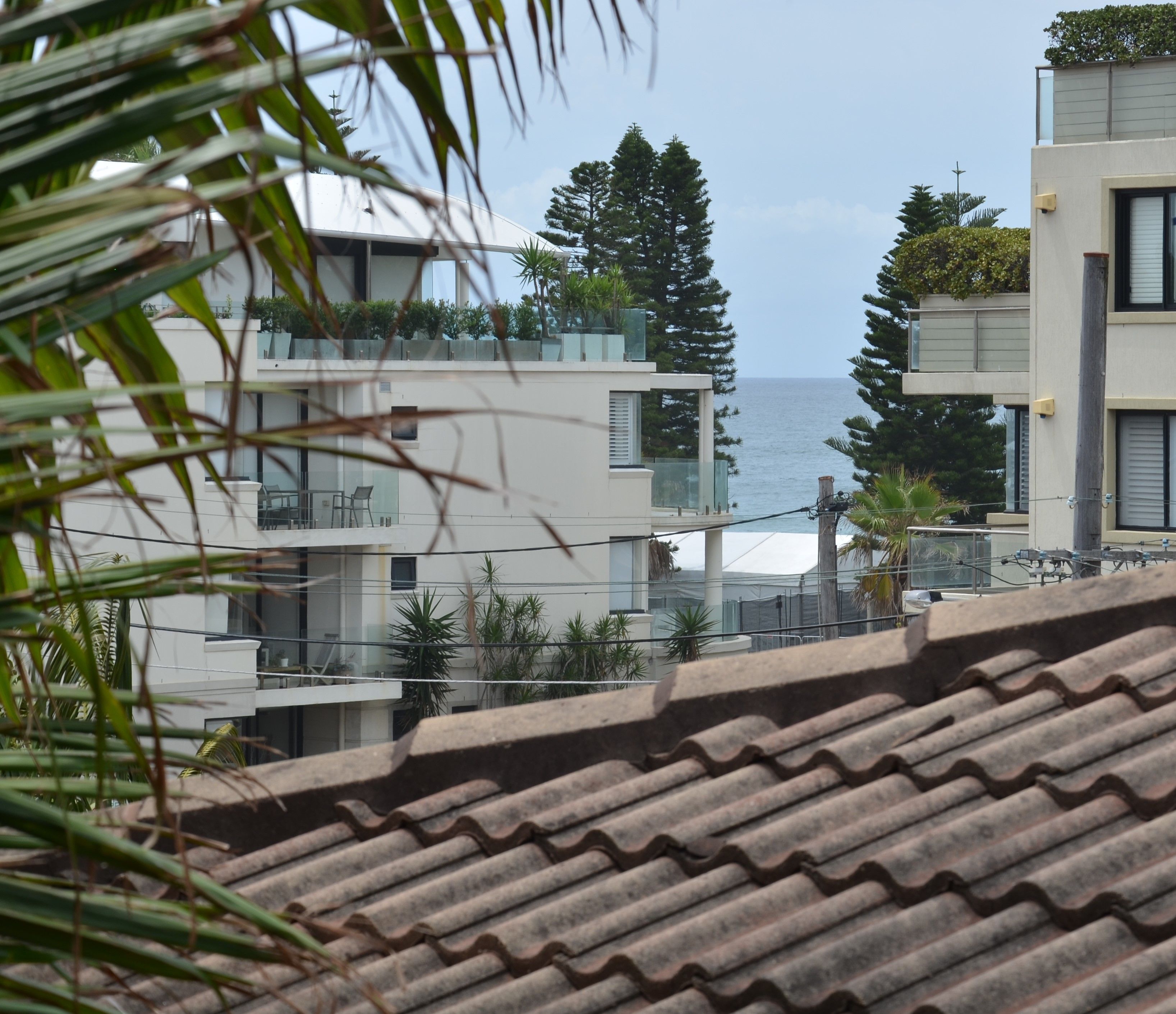 Deluxe Twin Room | View from property