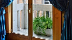 A room with a wooden door and blue curtains, a balcony with a potted plant, and a view of a building with columns. - Albergo Cappello (Ravenna)