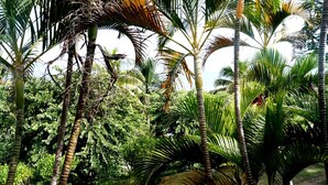 View from property - Anchorage Beach Resort (Lautoka)
