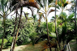 Unclassified image, 5 of 131, button - Anchorage Beach Resort (Lautoka)