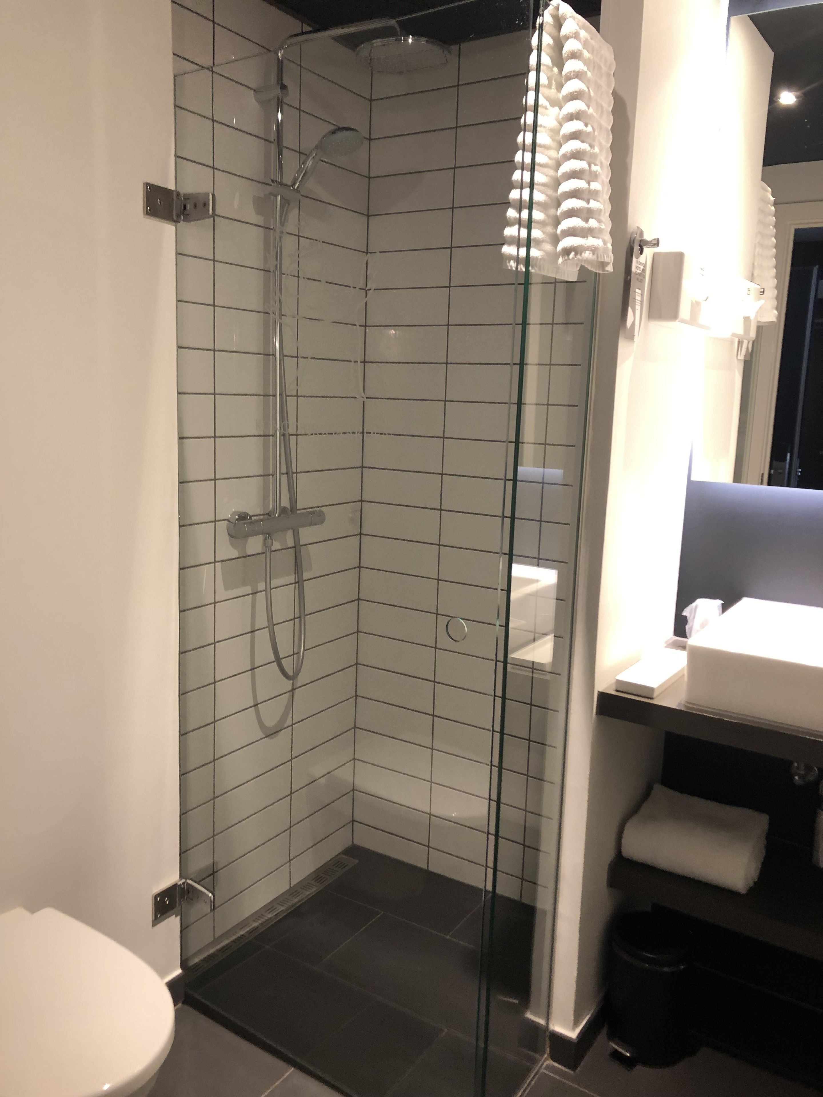 A modern bathroom with a glass-enclosed shower, a white toilet, and a sink with a towel rack.