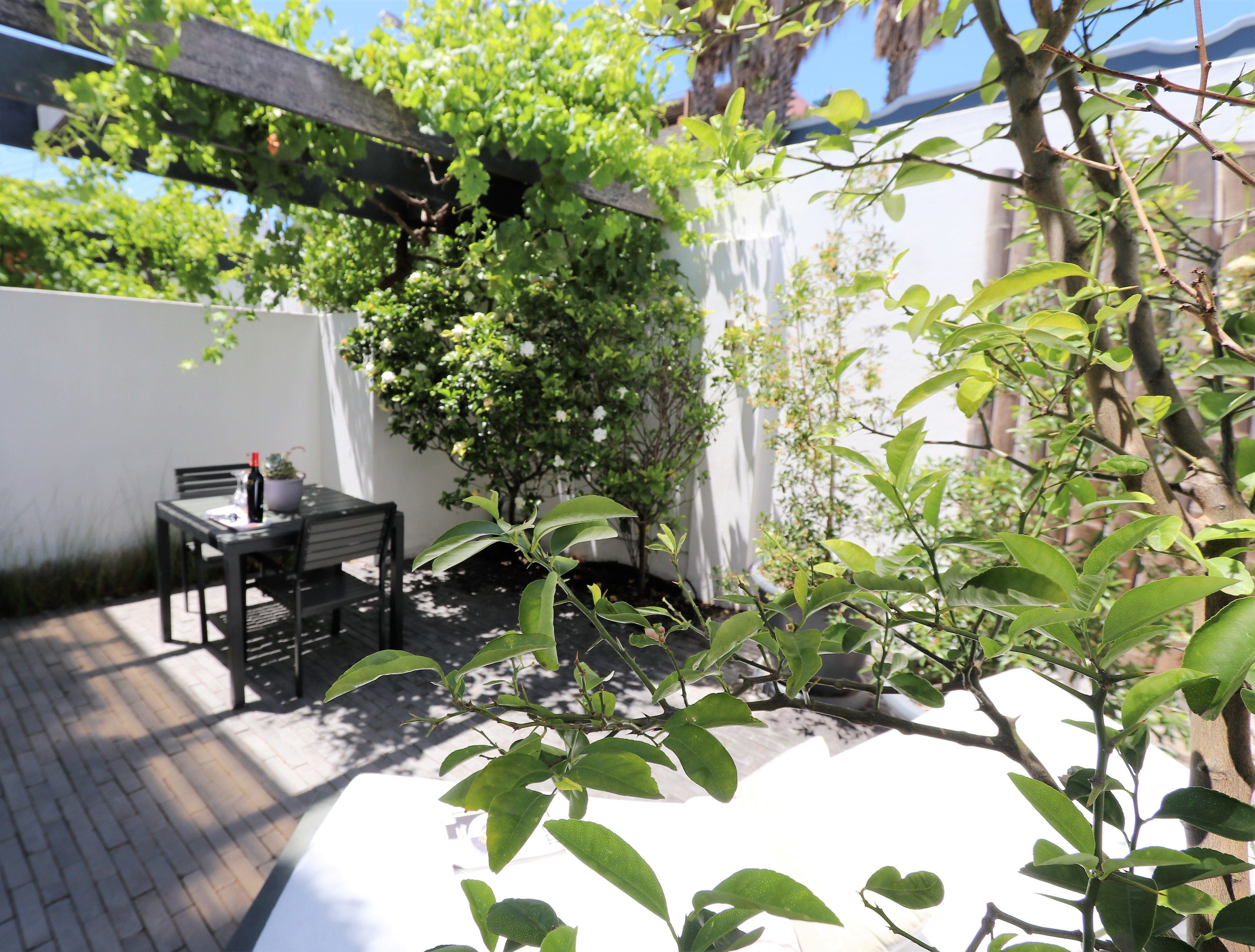 A patio area with a table and chairs, surrounded by greenery and a white wall.