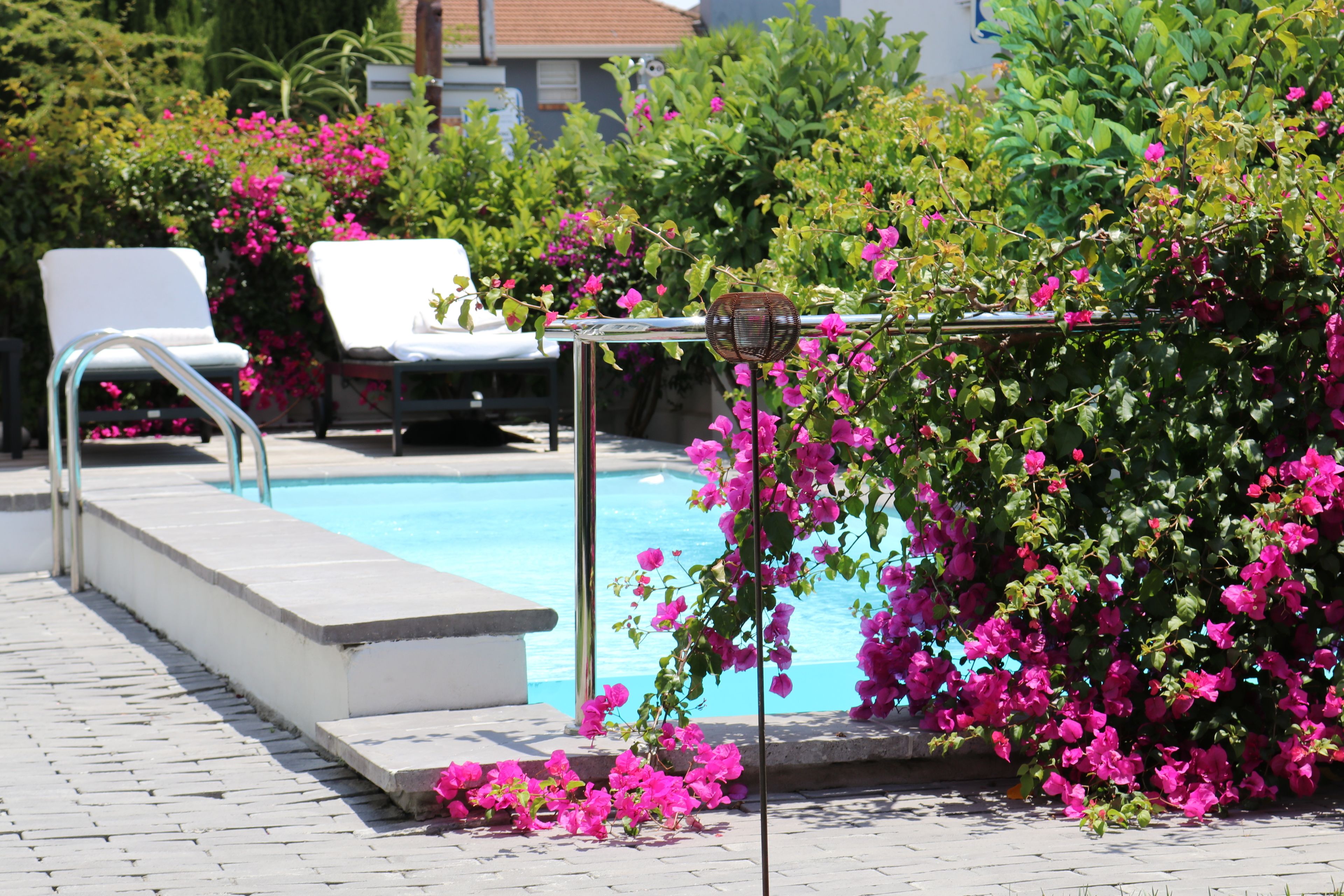 Photo - DysArt Boutique Hotel - Solar Power