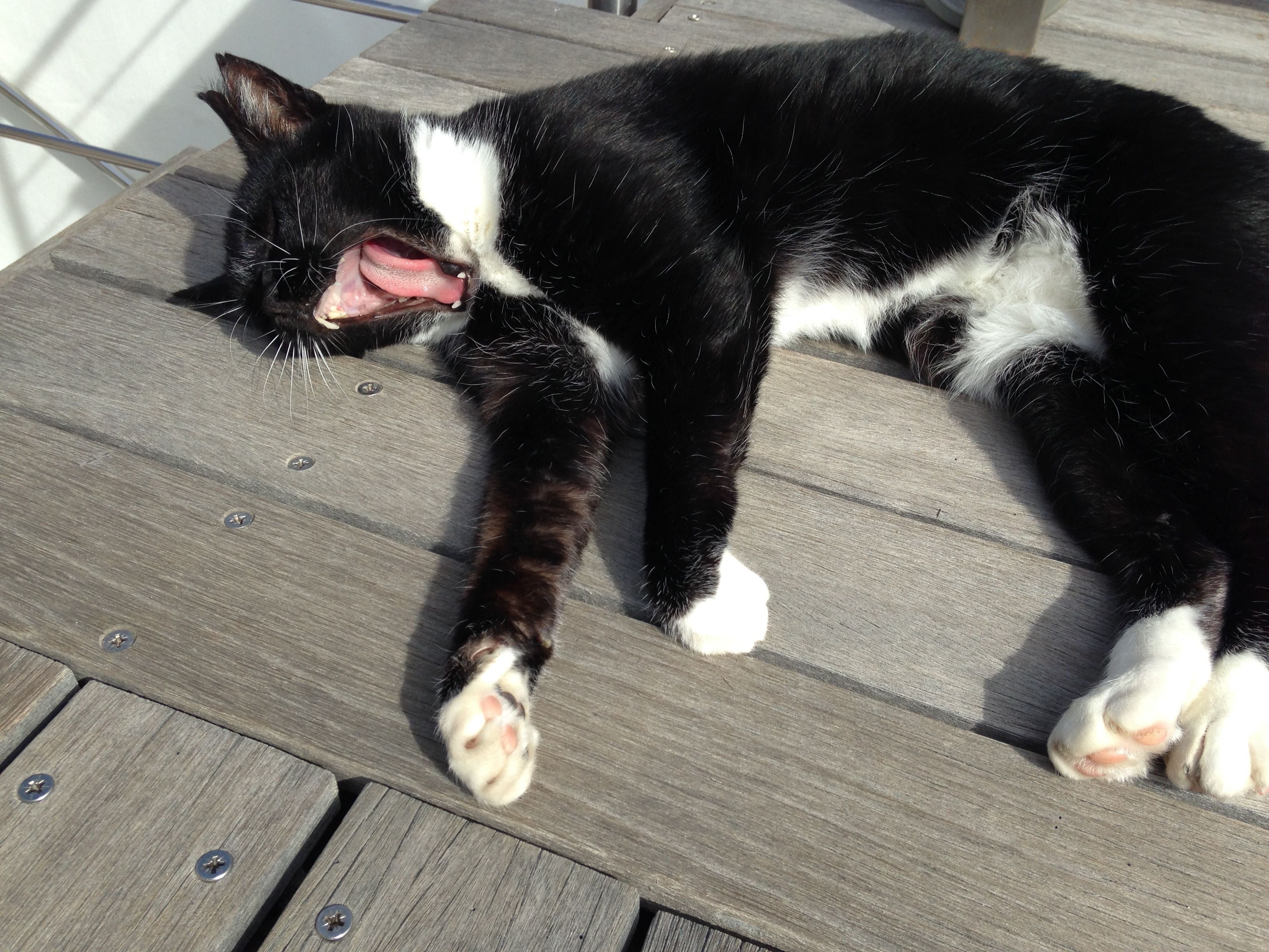 Photo - DysArt Boutique Hotel - Solar Power