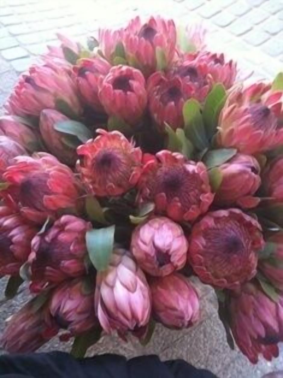 Foto - DysArt Boutique Hotel - Solar Power