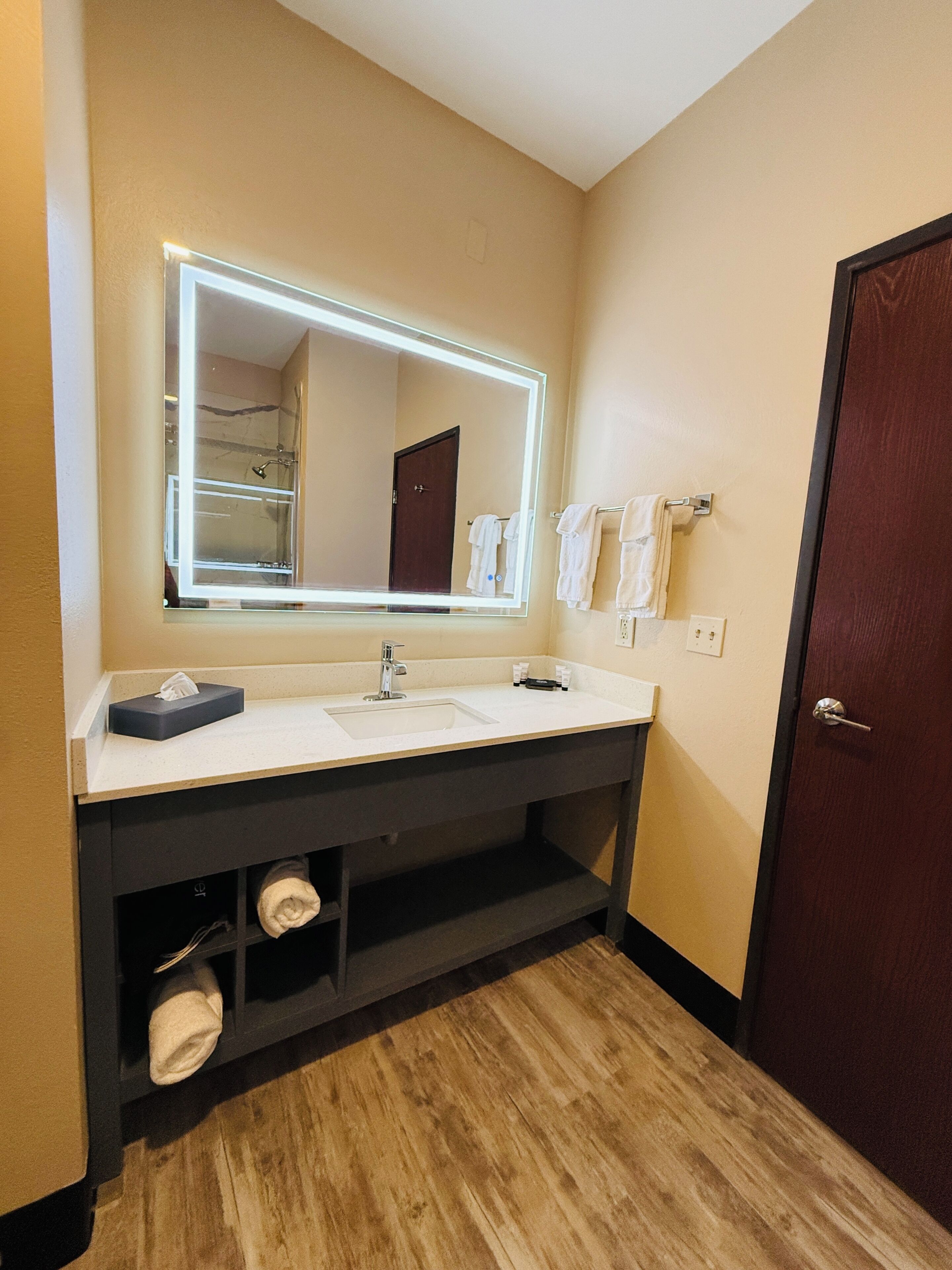A bathroom with a large mirror, a sink, a towel rack, and a door.