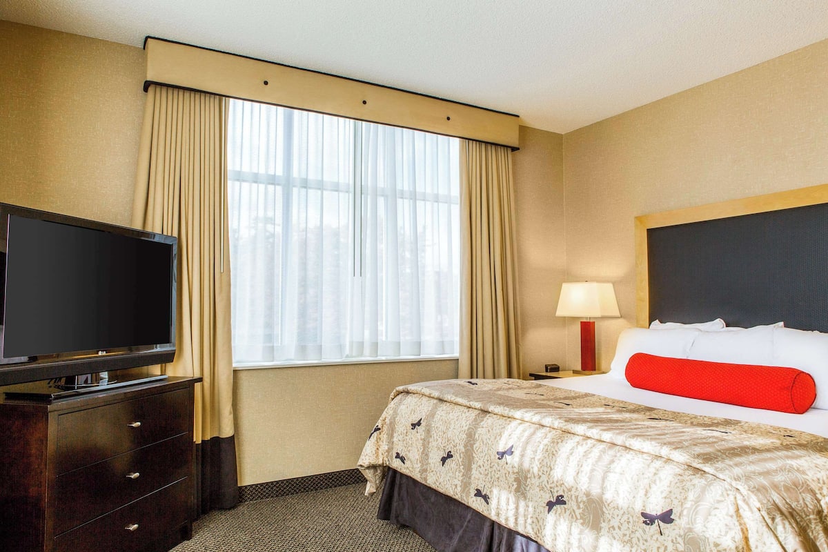 Habitación de hotel con una cama, un televisor en una cómoda, una ventana con cortinas y una mesita de noche con una lámpara.