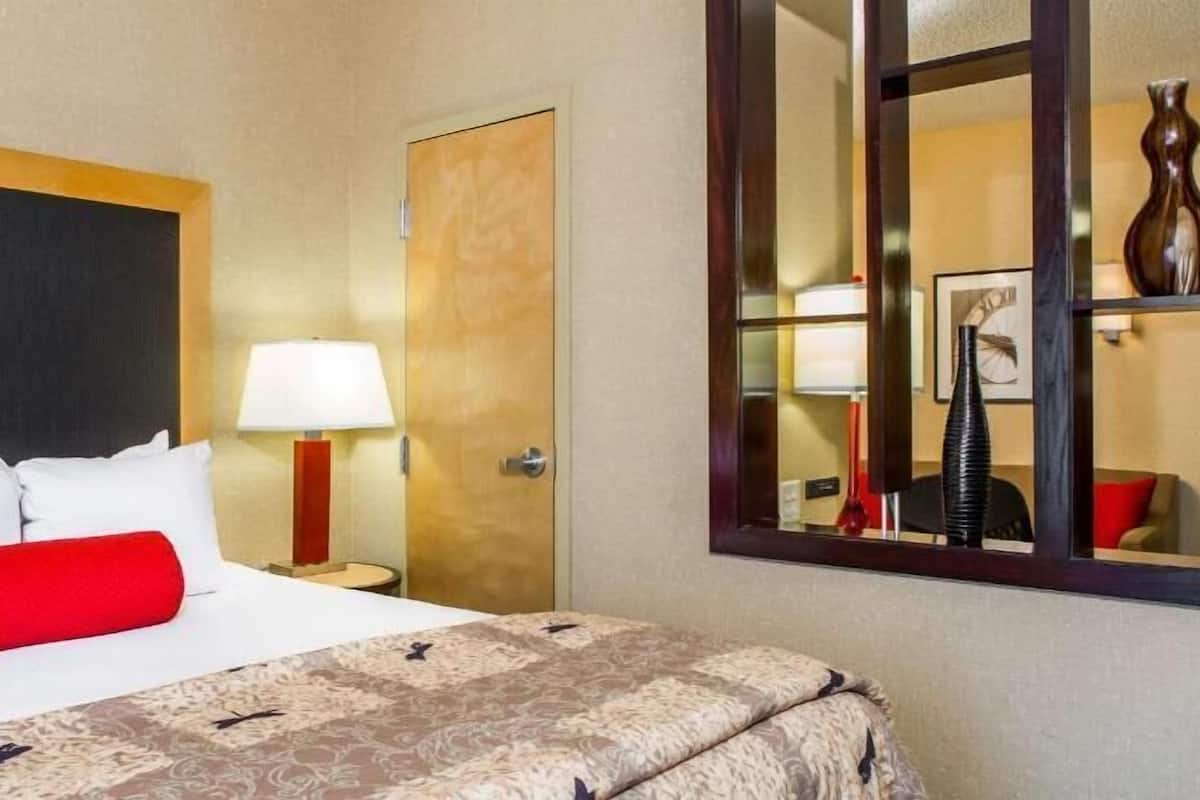 Habitación de hotel con una cama, una mesita de noche, una lámpara, una puerta y un espejo que refleja parte del cuarto.