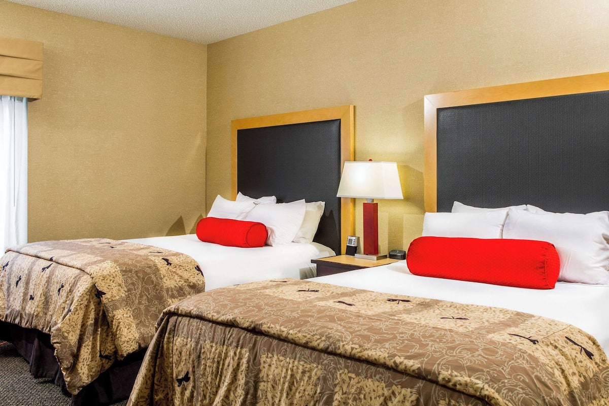 Habitación de hotel con dos camas, cada una con una colcha estampada y almohadas rojas. Hay una mesita de noche con una lámpara entre las camas.