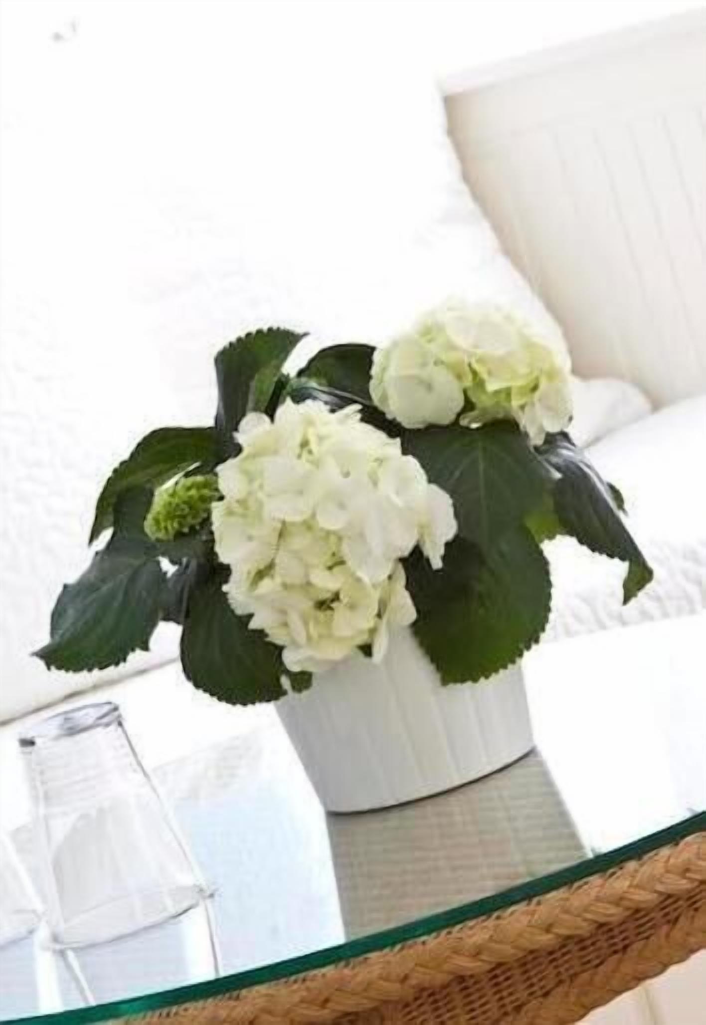 in-room safe, desk, iron/ironing board, free cots/infant beds