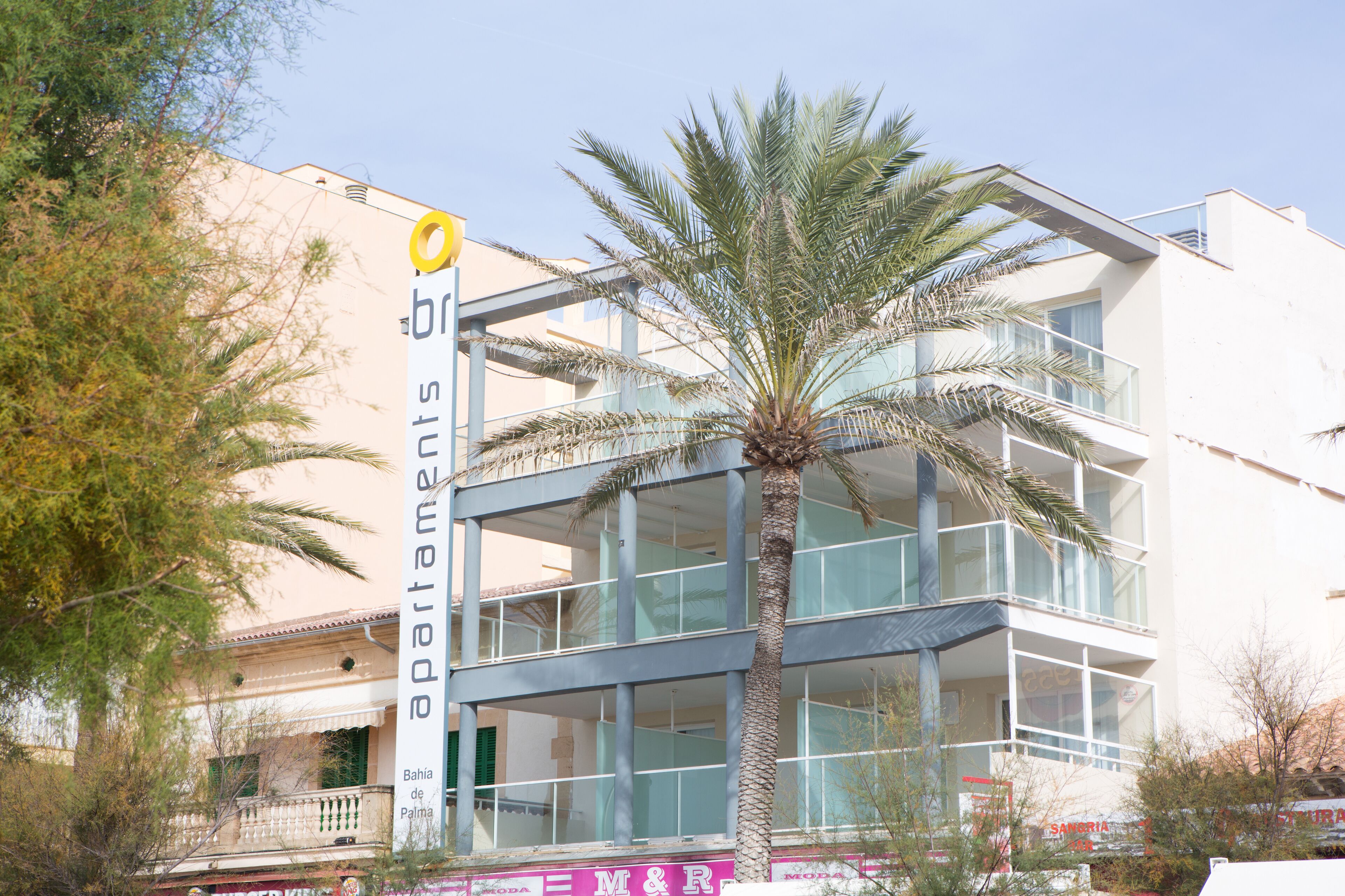 A modern building with a glass facade, balconies, and a palm tree in front.