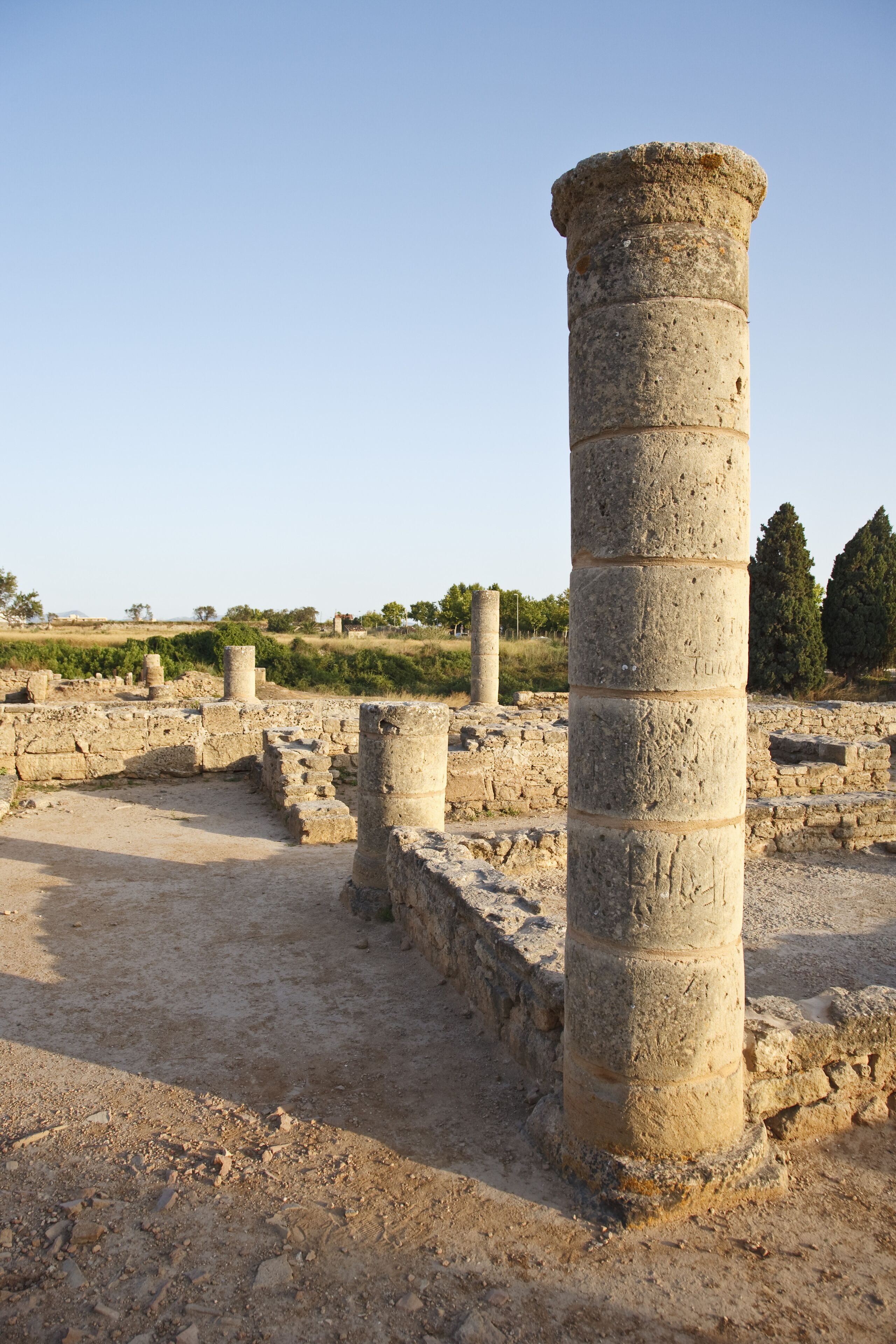 Ancient stone columns in a historical site with ruins and greenery in the background.