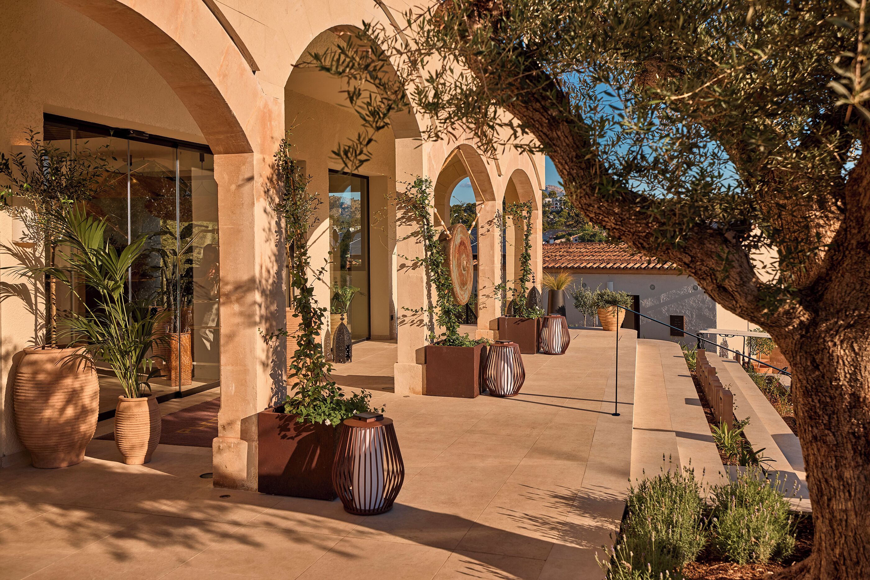 A courtyard with arched walkways, potted plants, and a large tree providing shade.