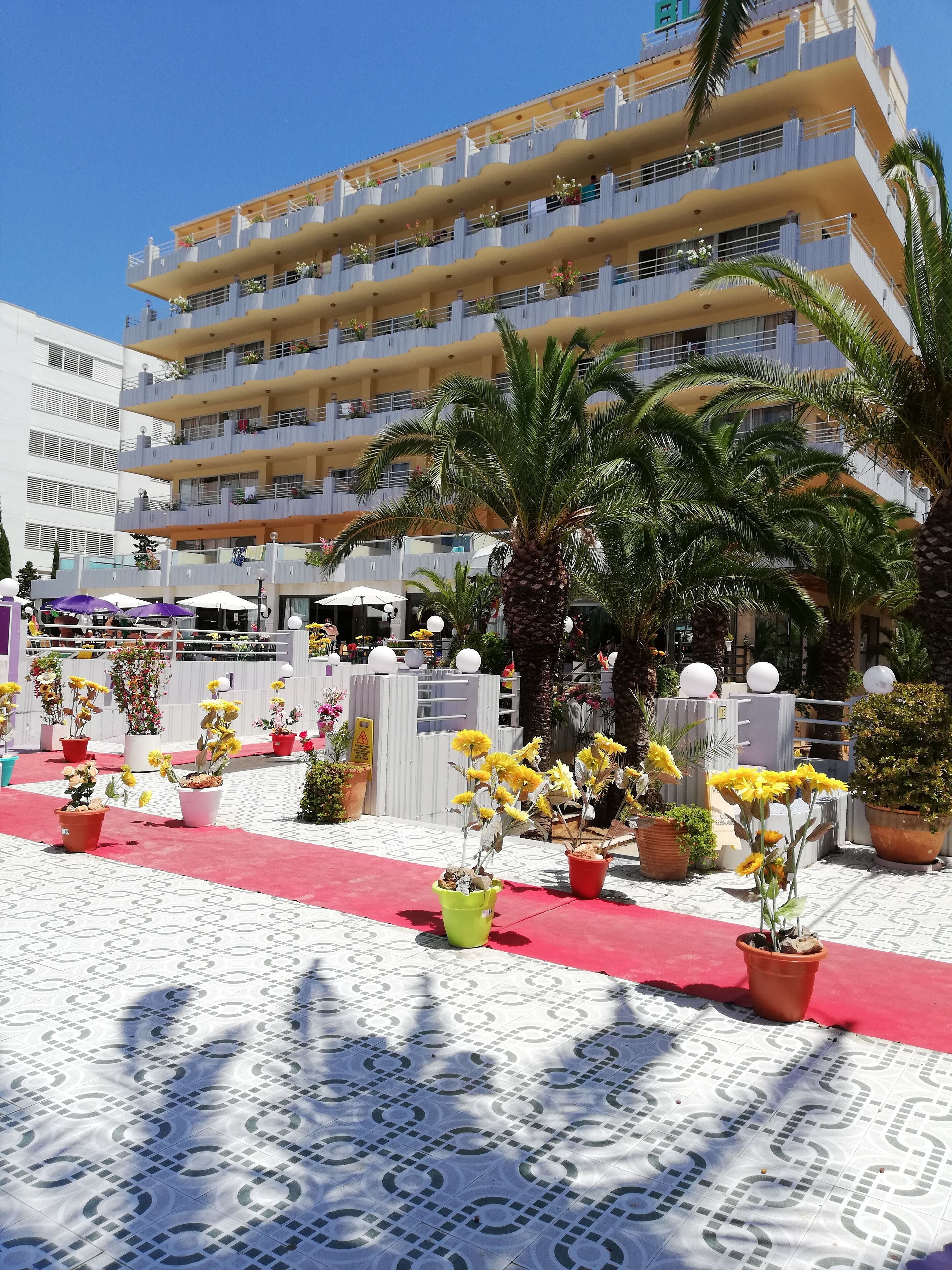 Foto - BJ Playa Blanca