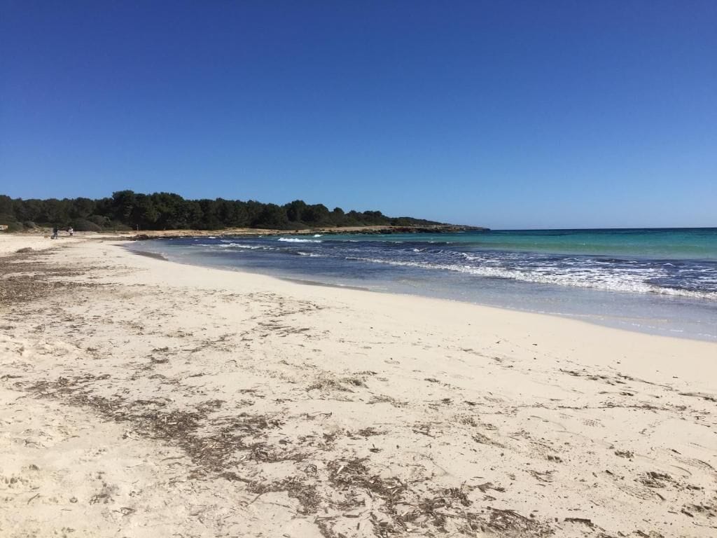 Beach nearby, white sand