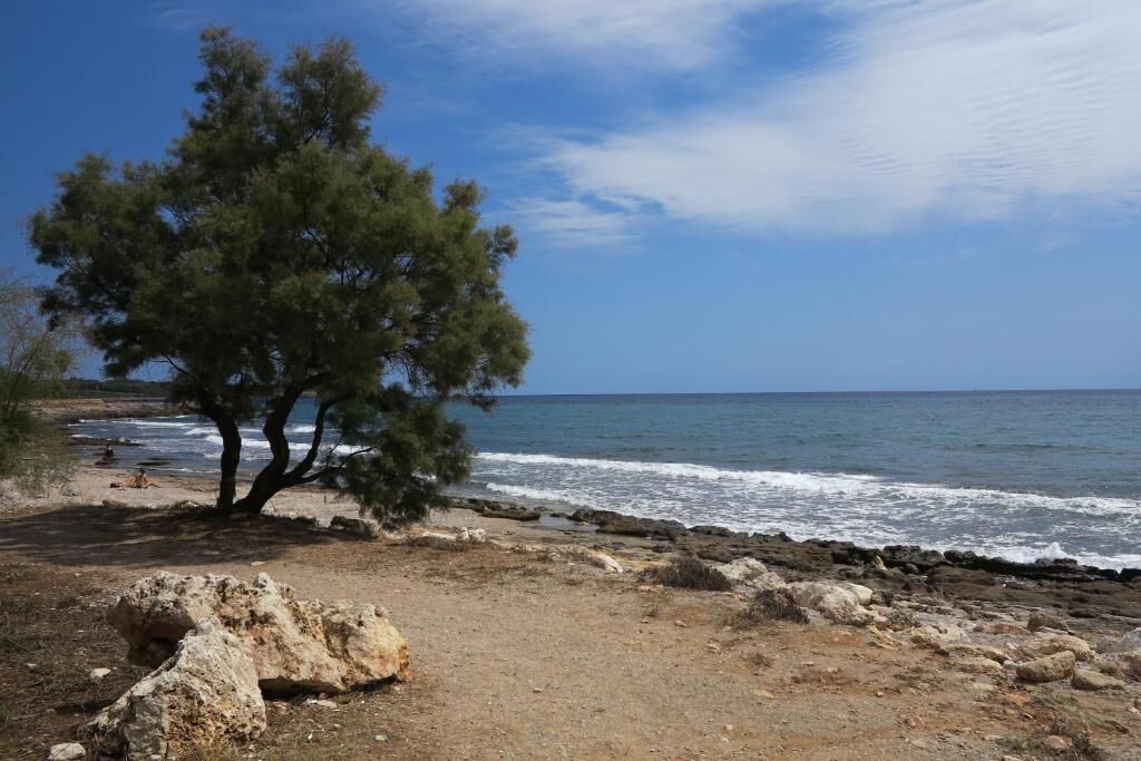 Foto - BJ Playa Blanca