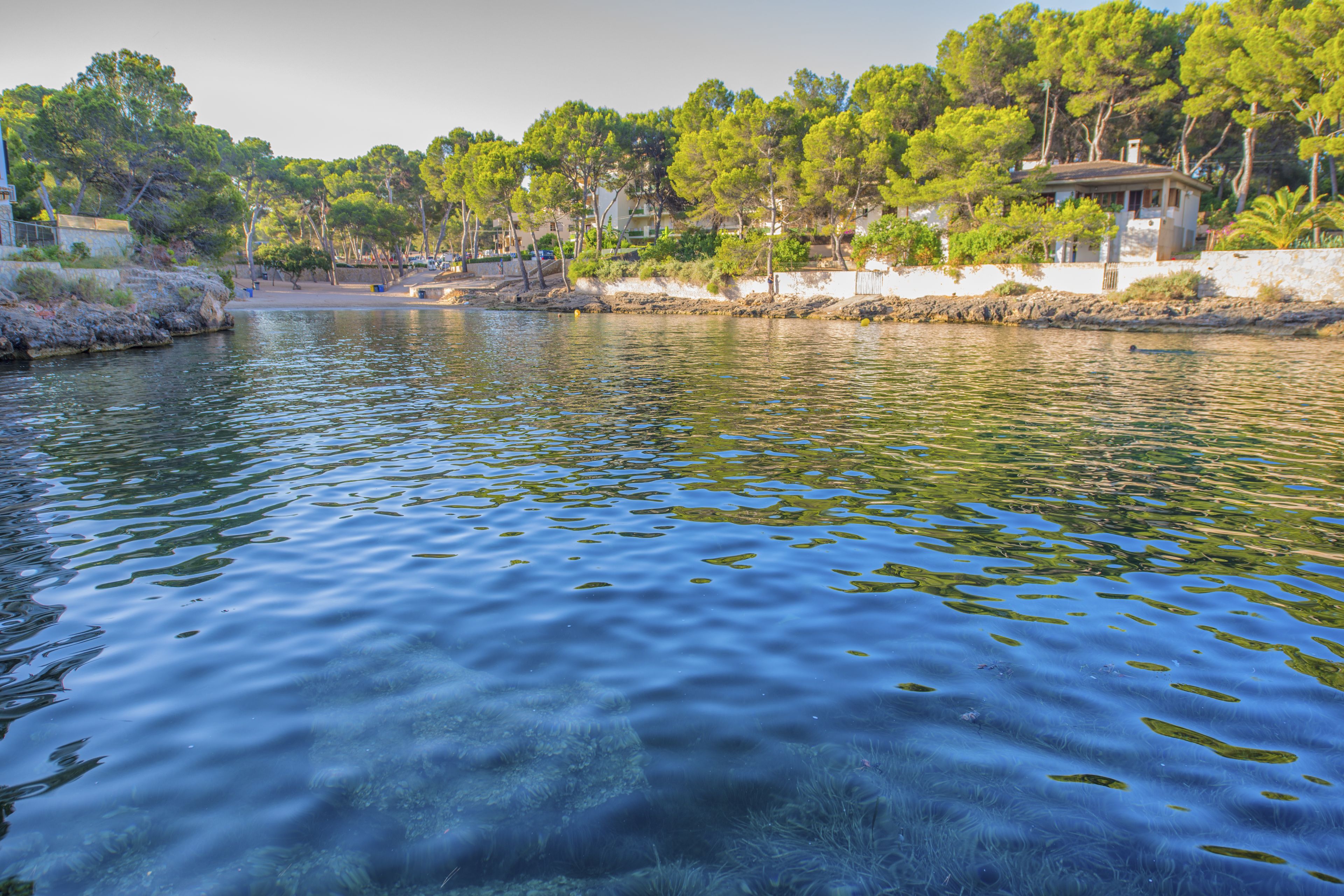 A calm lake with clear water, surrounded by trees and buildings.