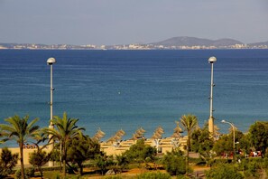 Nära stranden, vit sandstrand, sportdykning och windsurfing