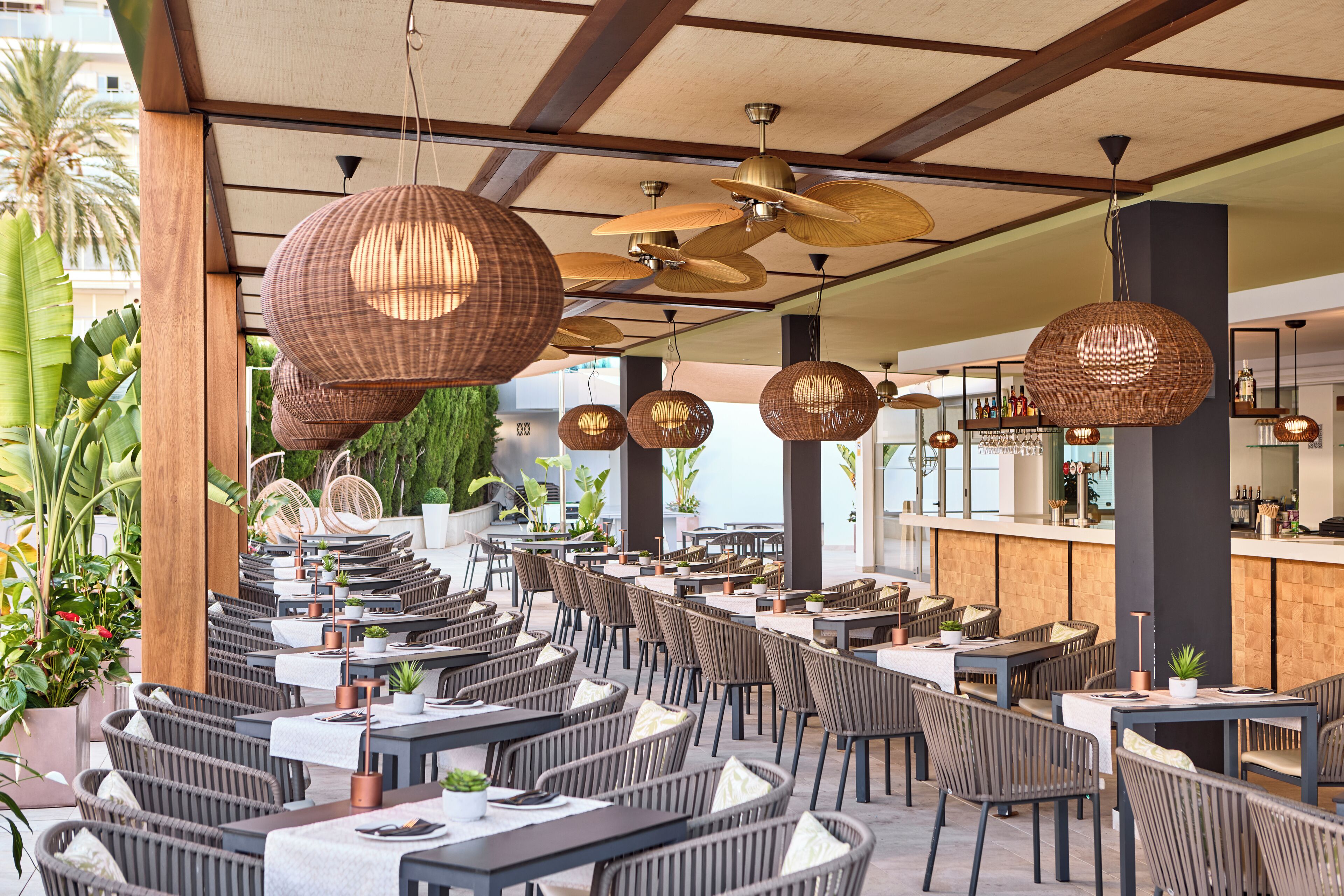 Foto - Tomir Portals Suites - Adults Only