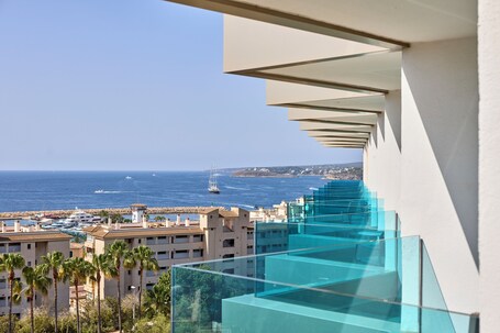 Vista del balcón