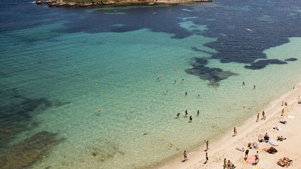 A beach with clear turquoise water, a sandy shore, and a small island with greenery. - Tomir Portals Suites - Adults Only (+16) (Calvia)