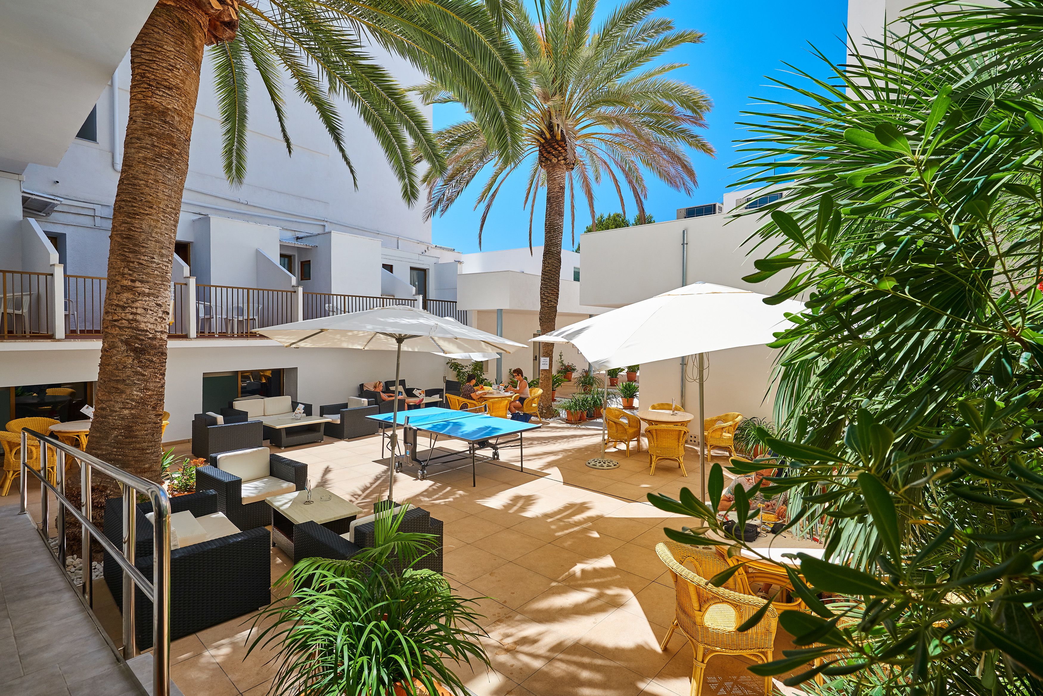 A rooftop patio with outdoor seating, palm trees, and a view of the building's architecture.
