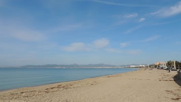 在海灘附近