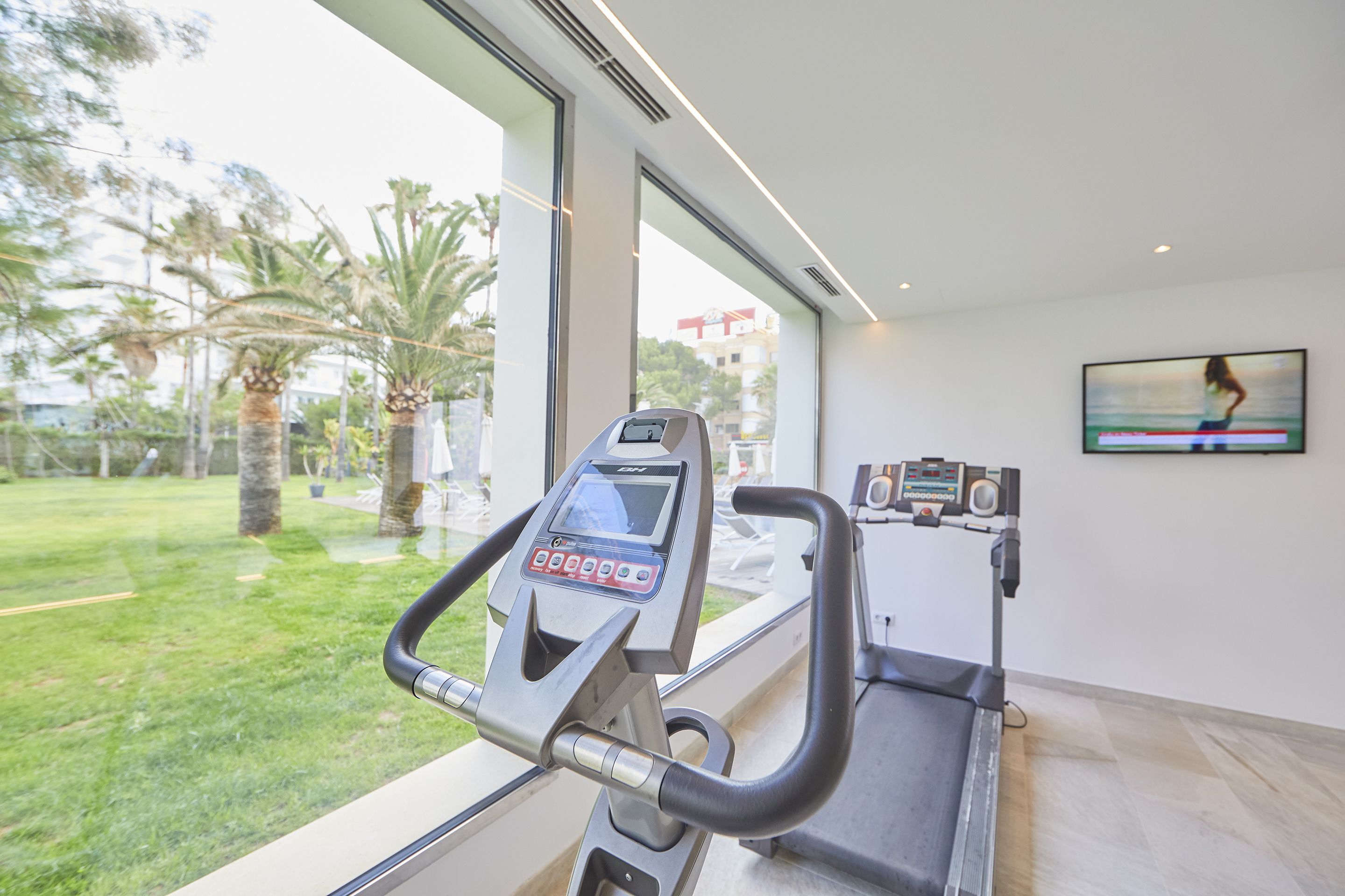 Una cinta de correr en una habitación con ventanas amplias que dan a un área verde con palmeras.