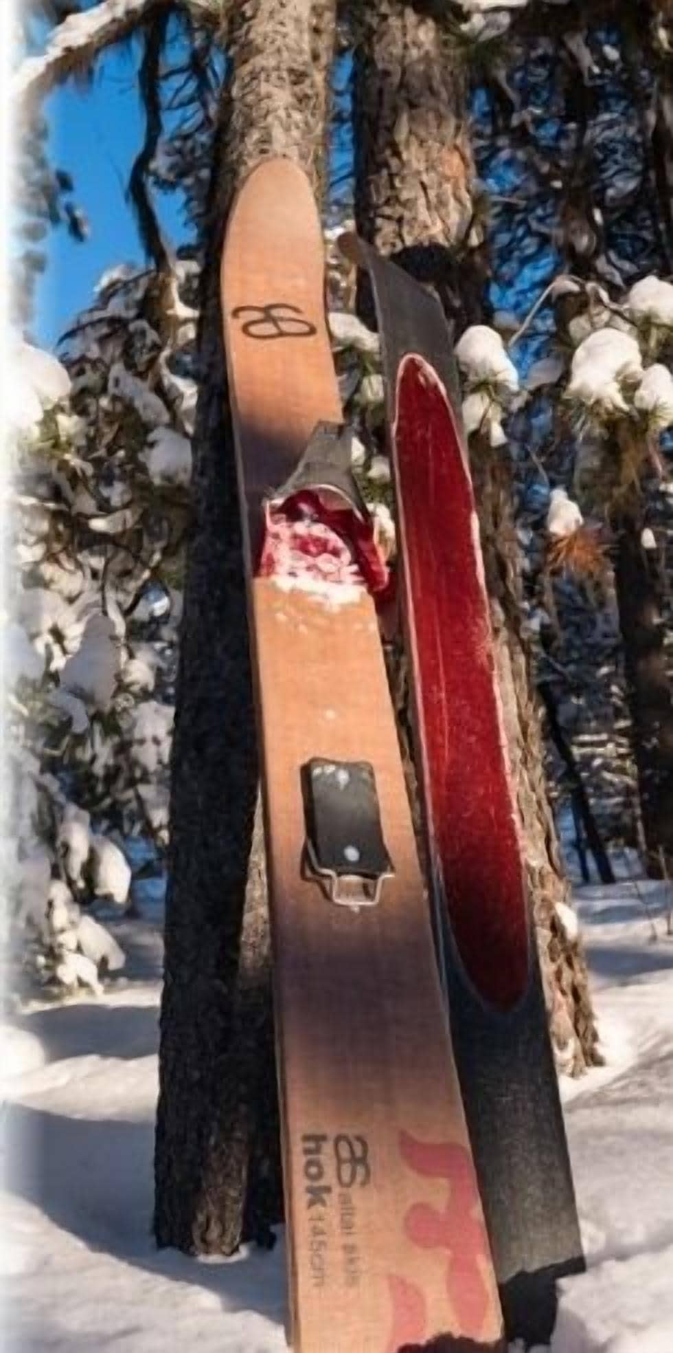 A pair of skis leaning against a tree in a snowy environment.