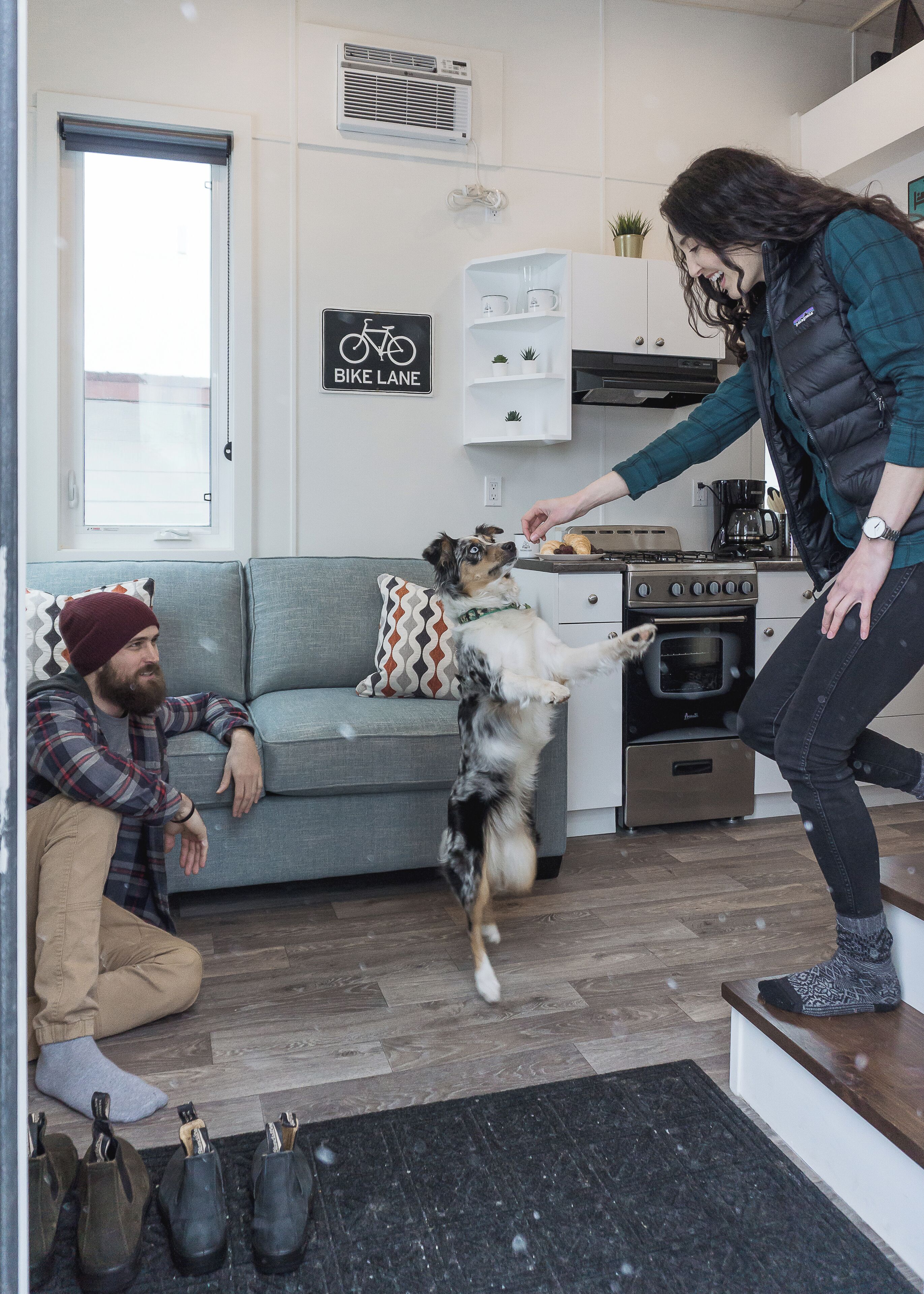 Un salon avec un canapé, un chien qui joue avec une personne, et un coin cuisine en arrière-plan.