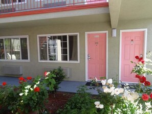 Property grounds - The Flamingo Motel (San Jose)
