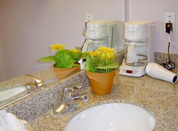 A bathroom with a granite countertop, a sink, two coffee makers, a hairdryer, and a potted plant with yellow flowers.