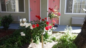 A building with two doors, one pink and one white, with numbers 103 and 104 respectively. There is a garden with various plants and flowers in front of the doors.