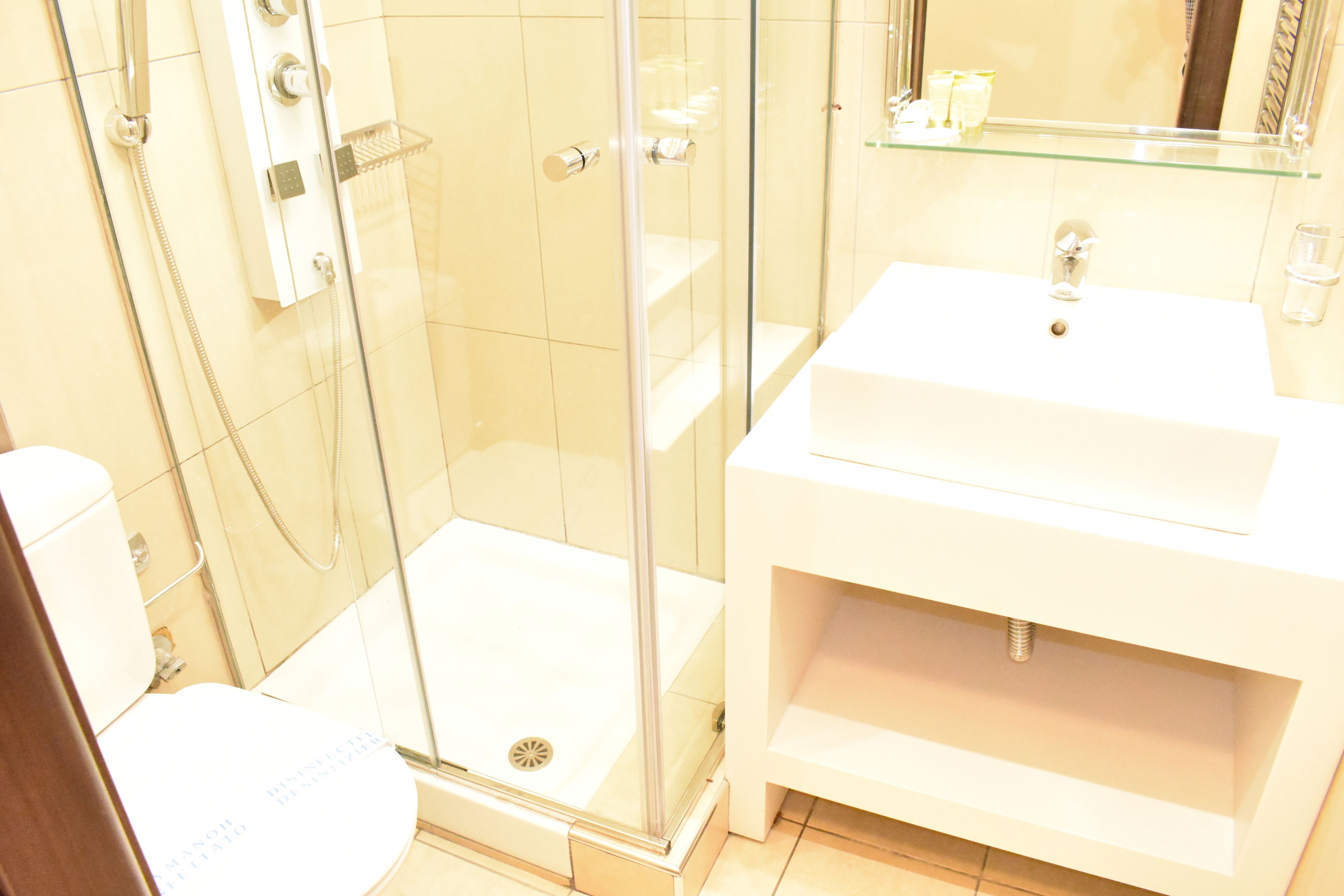 shower, hair dryer, bidet, towels