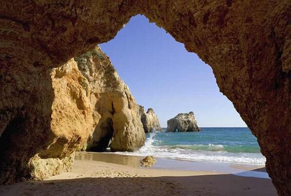 Beach nearby, snorkeling