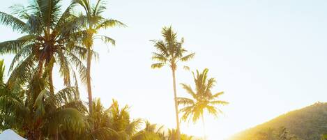 Una piscina al aire libre, sombrillas, tumbonas