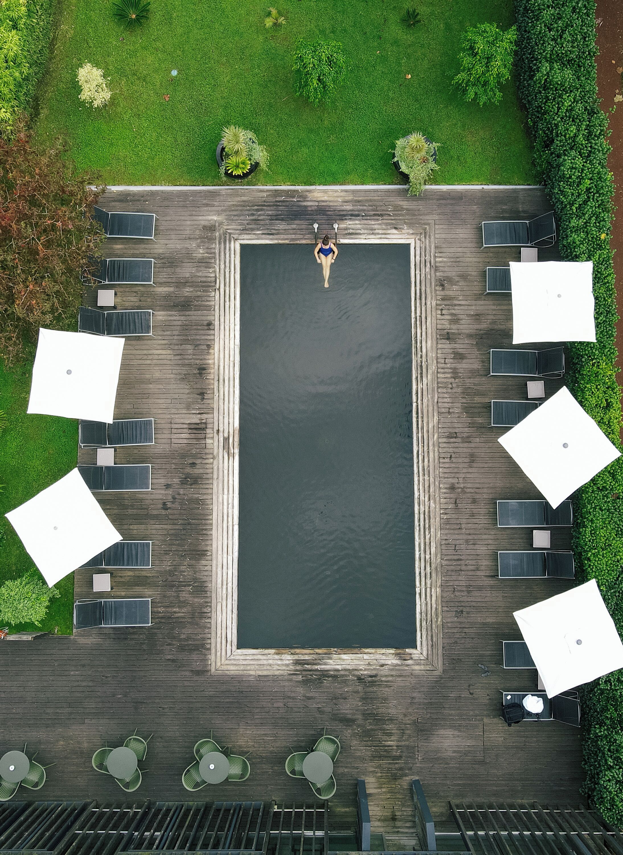 An aerial view of a rectangular pool with surrounding lounge chairs and umbrellas, surrounded by greenery.
