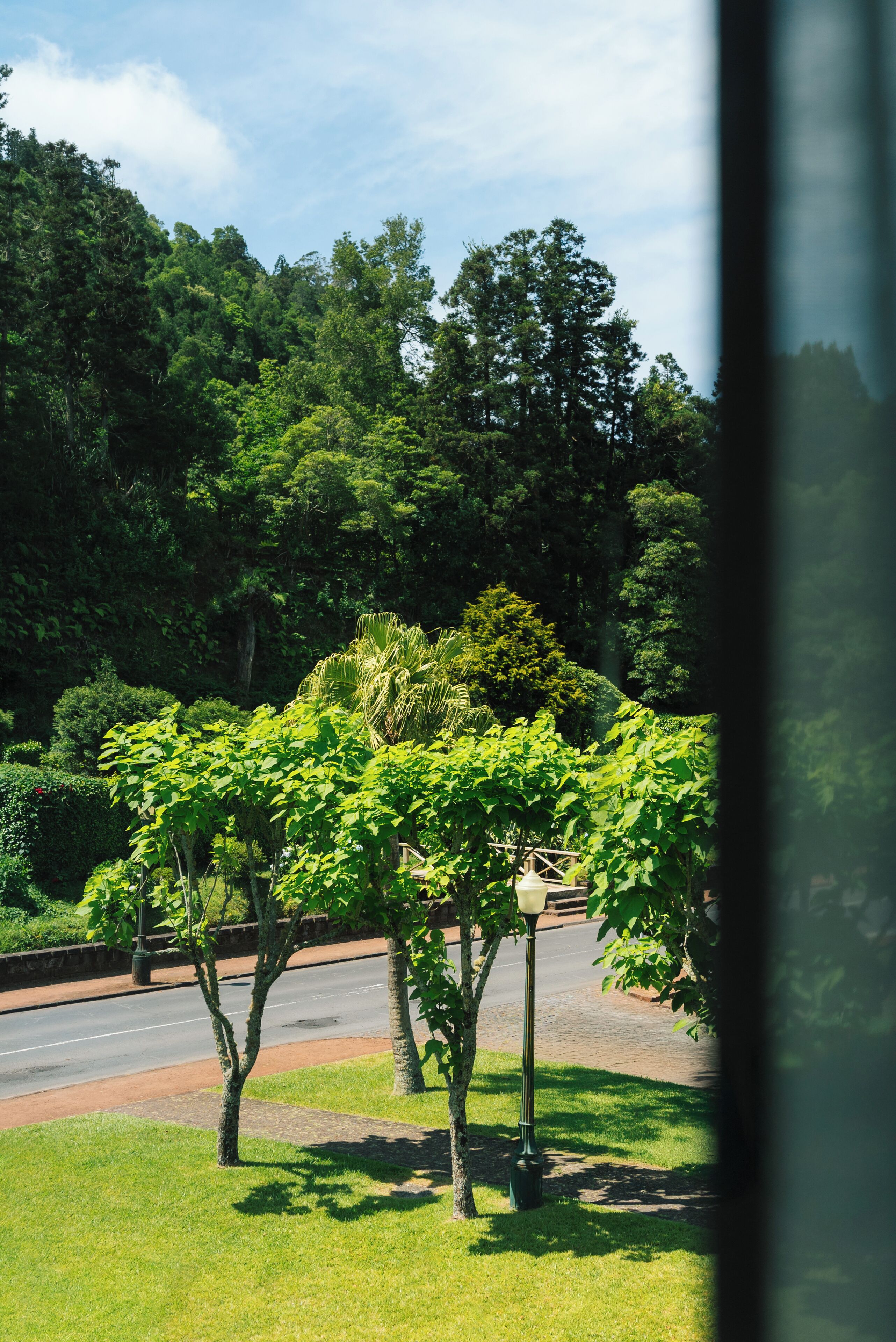 premium double or twin room, garden view | 1 bedroom, minibar, in-room safe, desk