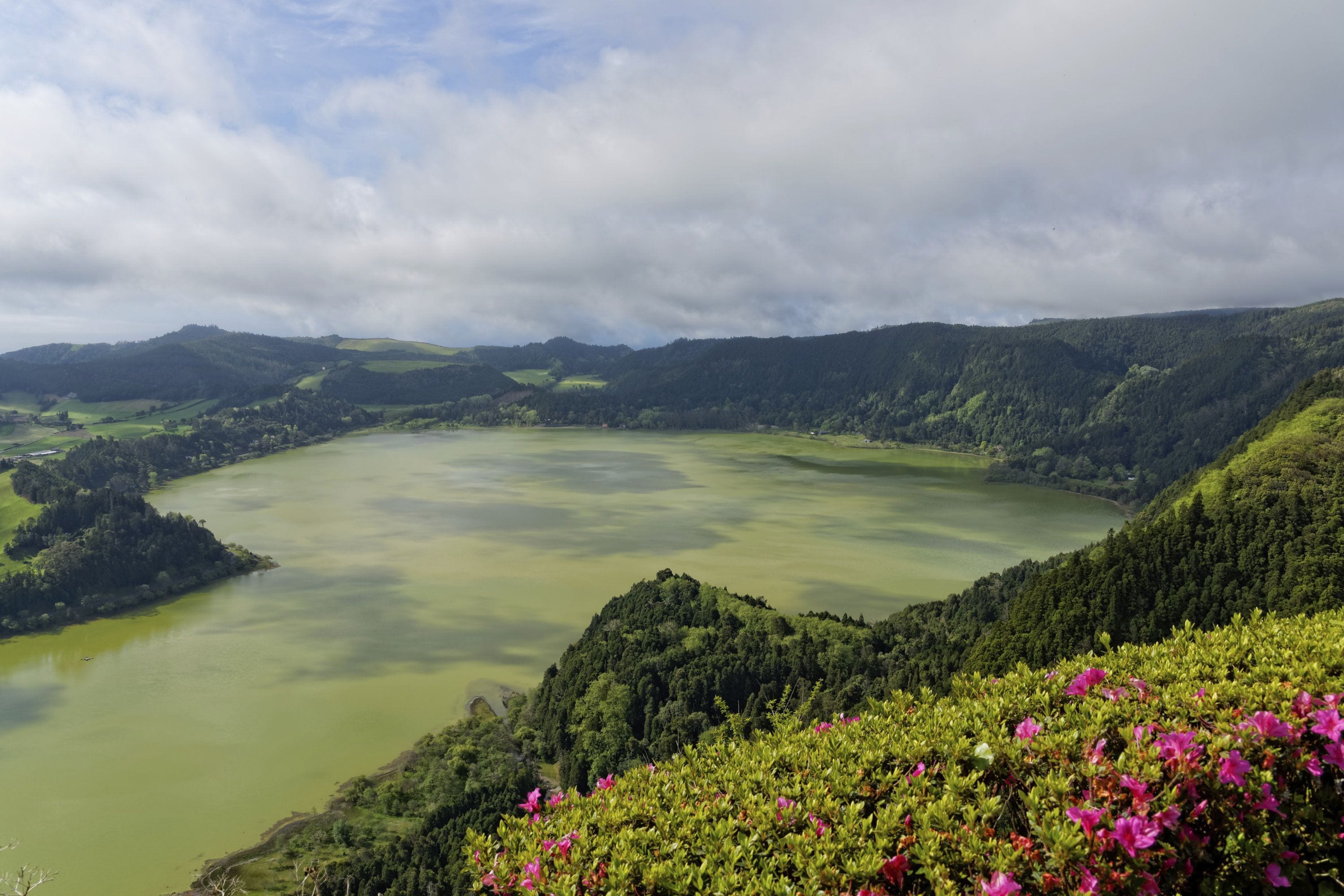 Foto - Octant Furnas