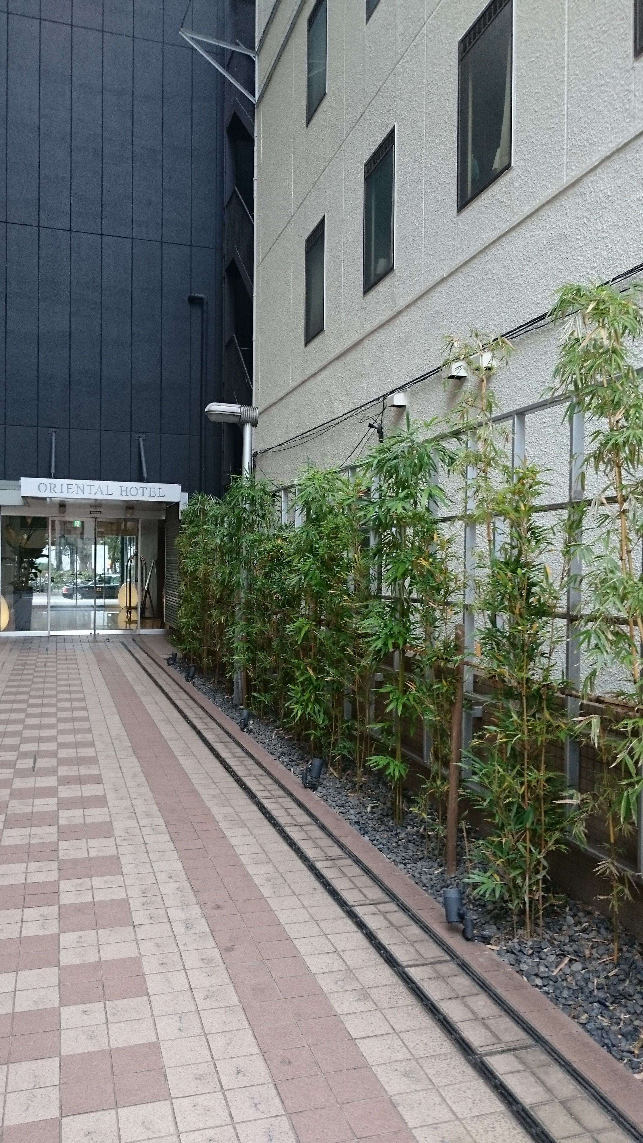 Entrada de un hotel con un camino adoquinado, un letrero que dice "ORIENTAL HOTEL" y una fila de plantas de bambú a un lado.