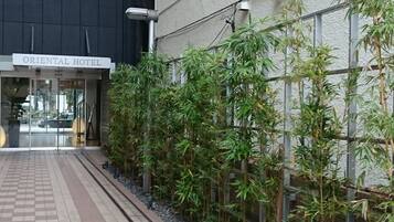 Entrada de un hotel con un camino adoquinado, un letrero que dice "ORIENTAL HOTEL" y una fila de plantas de bambú a un lado.
