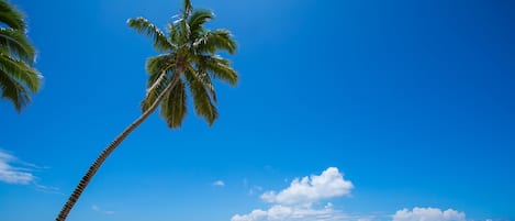 Private beach, white sand, sun loungers, beach umbrellas