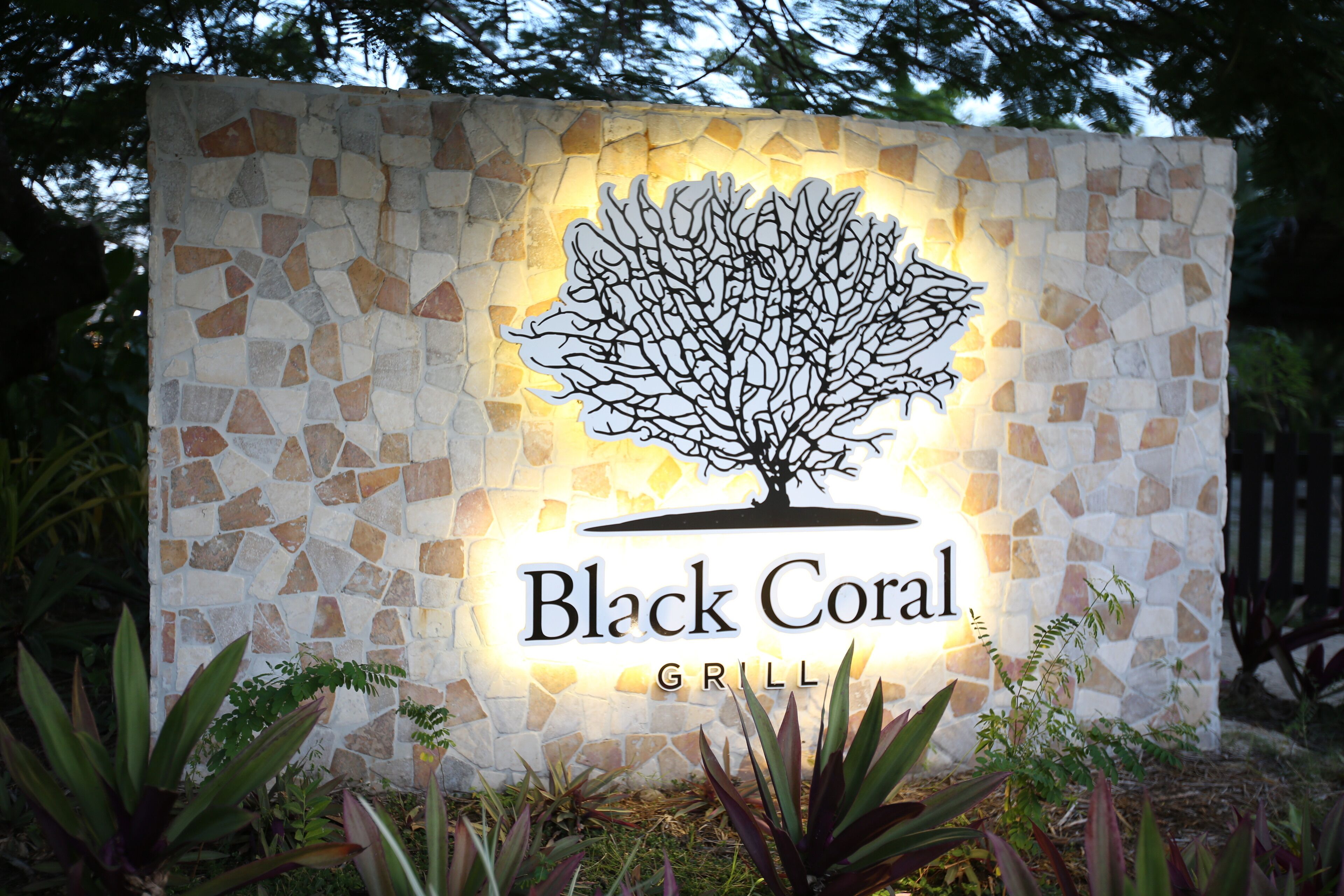 Schild für Black Coral Grill mit Baumdesign.