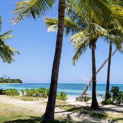 Bangalô, de frente para a praia | Vista do quarto