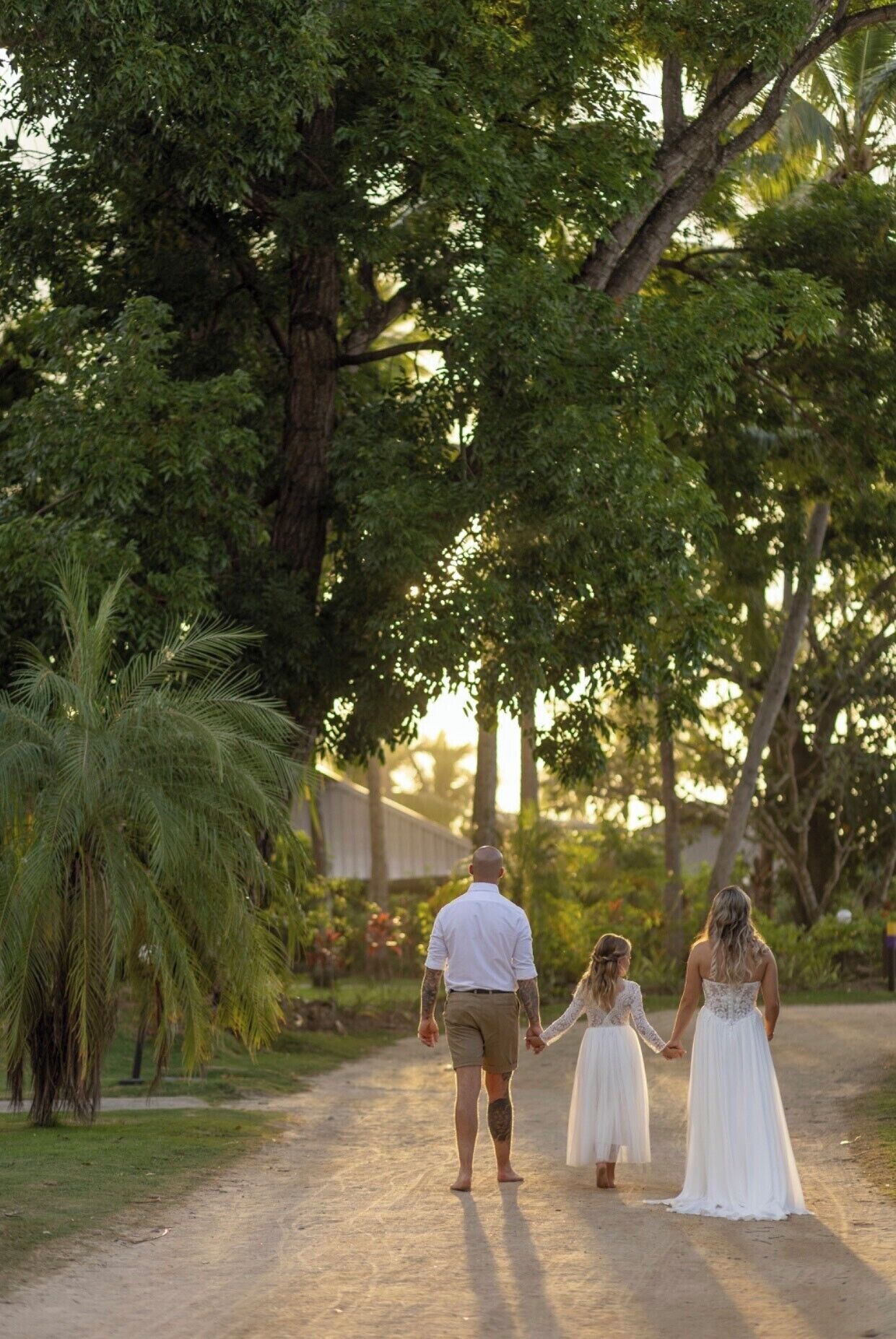 A pathway lined with trees and a dirt road.