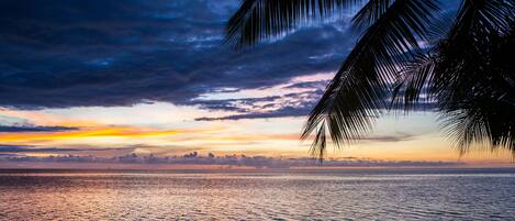 A sunset over a calm sea with palm tree silhouettes.